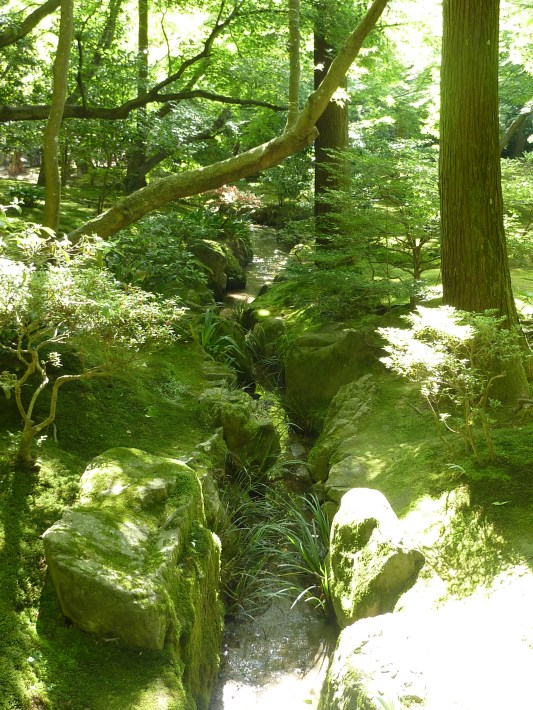 11 - Rivière qui s'écoule lentement dans l'enceinte du pavillon
