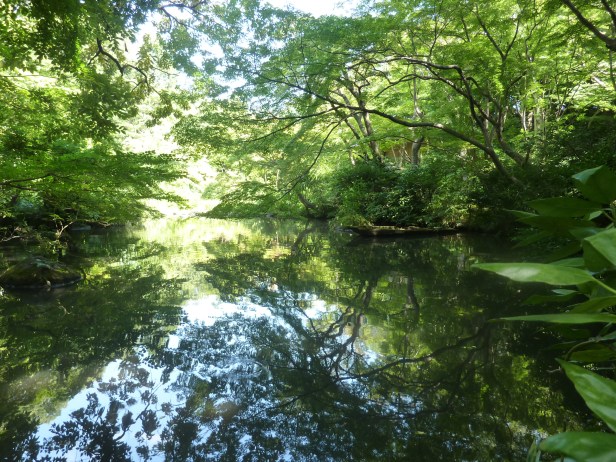 12 - Petit lac idyllique