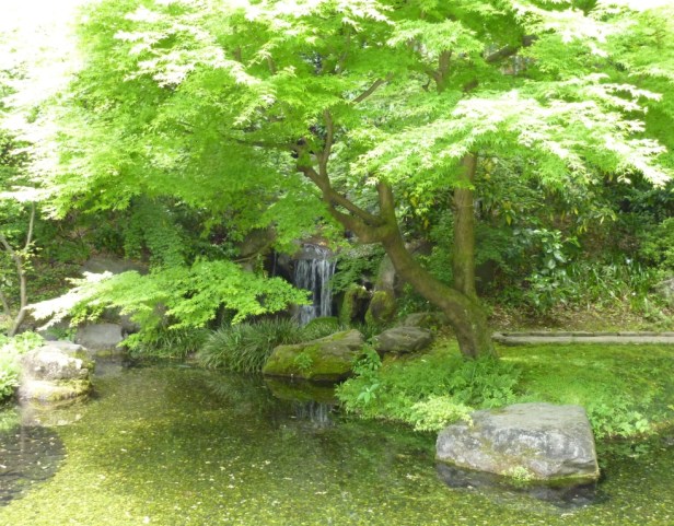 17 - L'eau utilisée pour le whisky