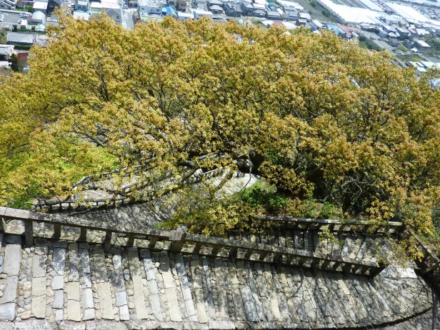 21 - L'escalier vu d'en haut
