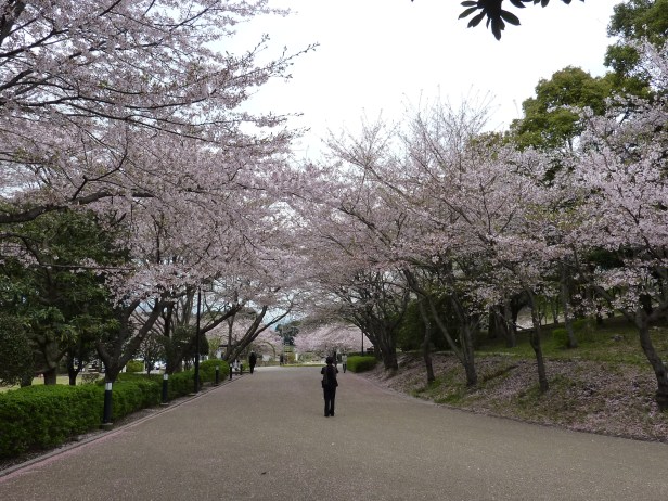 44 - L'allée principale