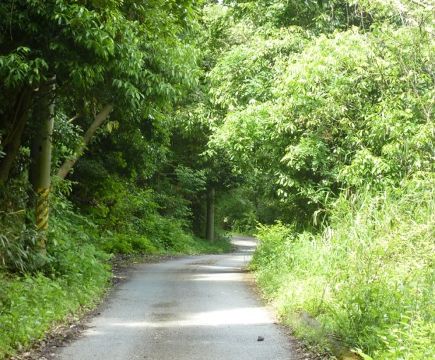 5 - Ca pourrait être l'aveyron, non...