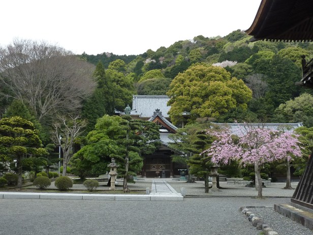 5 - En bas de la colline - un paysage véritablement somptueux