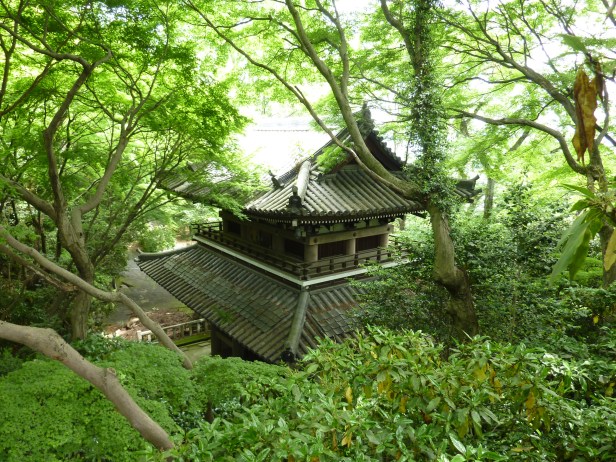 5 - Un vieux temple perdu dans la forêt