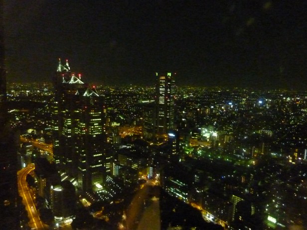 6 - Du haut du Tokyo Metropolitan Governement Office Building