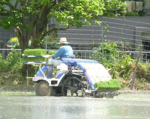 6 - Machine pour repiquer les plants de riz