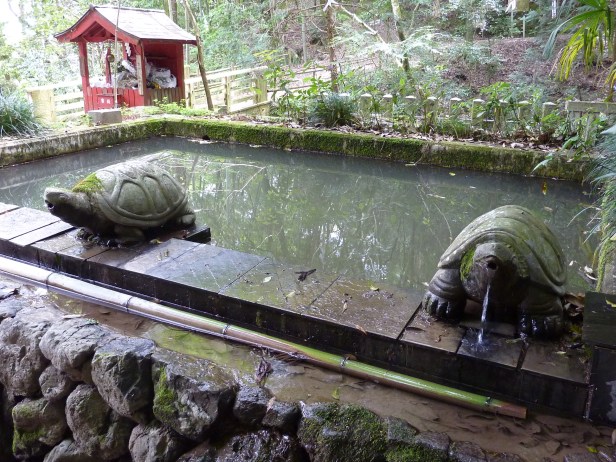 7 - L'eau pure et réputée de la montagne