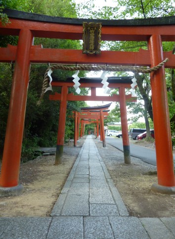 8 - Enchaînement de torii