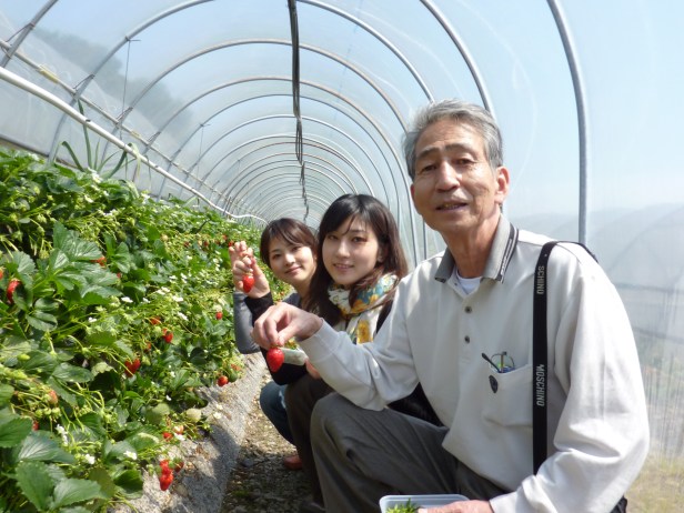 9 - Les futures victimes de notre appétit