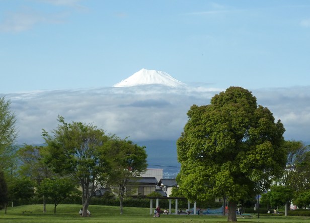 9 - Parc et Mont Fuji