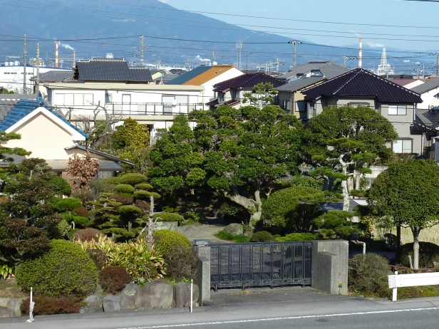 La nature au sein de la ville - de multiples jardins miniatures