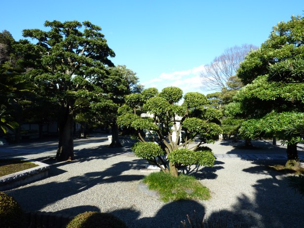 La végétation du temple bouddhiste - vraiment magnifique