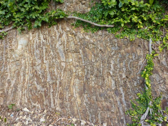11 - Les strates verticales à cause des tremblements de terre et des mouvements des plaques