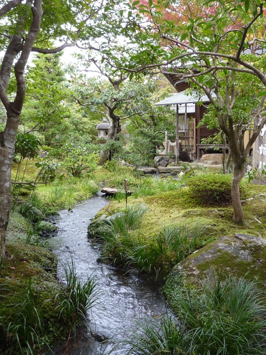 11 - Même ruisseau un peu plus loin