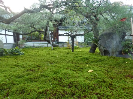 16 - Jardin de mousses dans le quartier de Gion