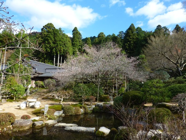 18 - Précision - Nous sommes le 4 décembre d'une année très chaude au Japon - Cerisier en fleur