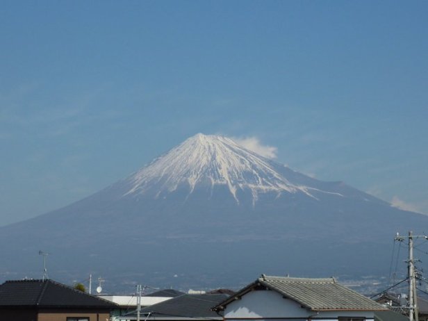 182934_1867007716127_5649572_n