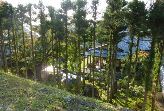 2 - Maison particulière sur le bord du chemin