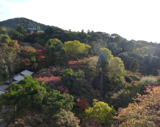 2 - Végétation du Kiyomizu-dera
