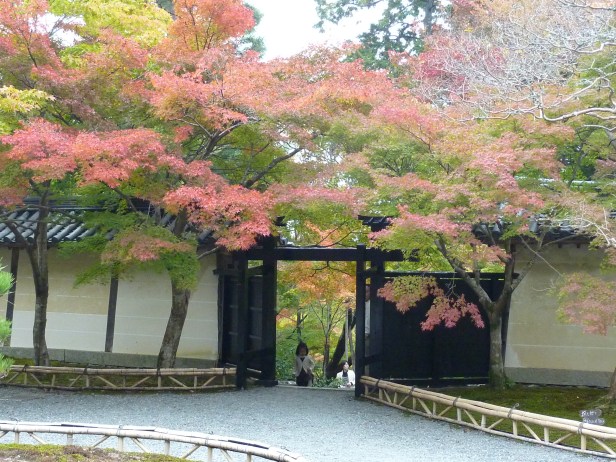 22 - Deuxième porte aux érables