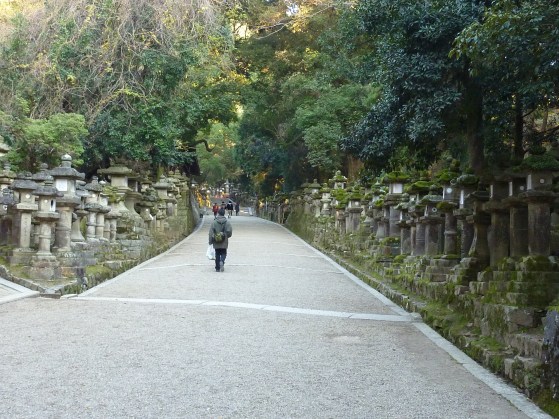 27 - Allée des lanternes menant au Sanctuaire Kasuga
