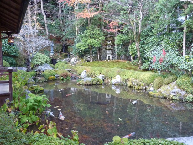27 - Etang aux carpes du Jakko-in