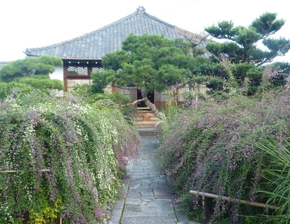 3 - Le jardin d'un temple en pleine ville