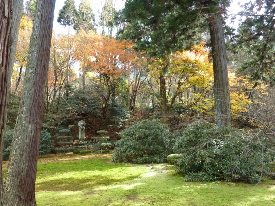 6 - Jardin de mousses du Sanzen-in