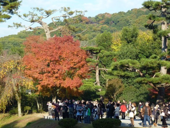 6 - La végétation d'automne de Kyoto