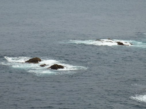 8 - Un Ryôan-ji dans l'eau