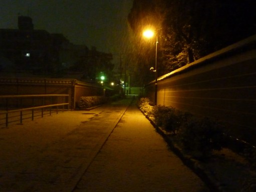 9 - Neige de nuit