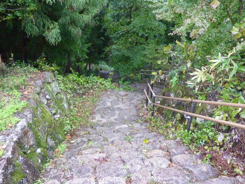 P1070841