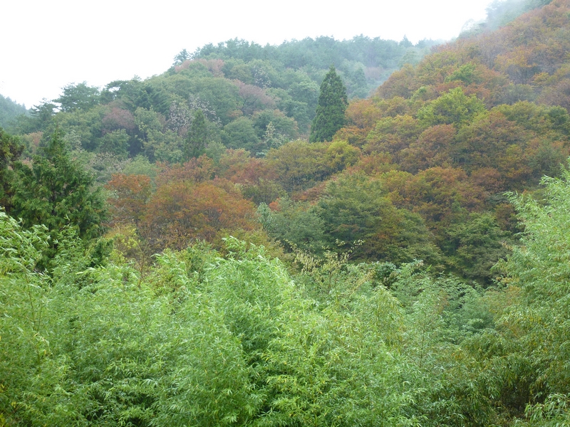 P1070851