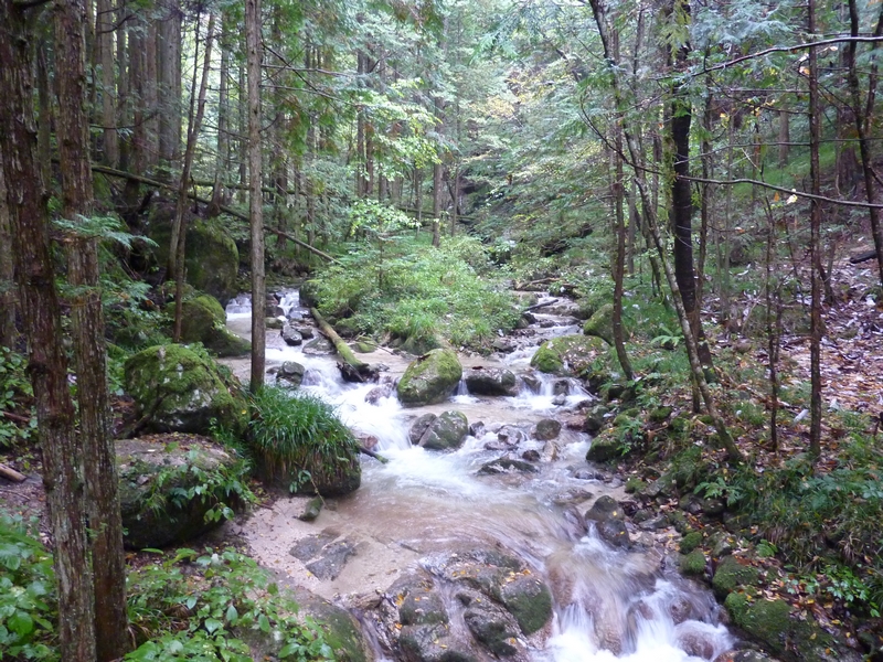 P1070864