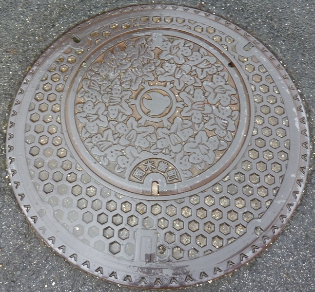 P1070889