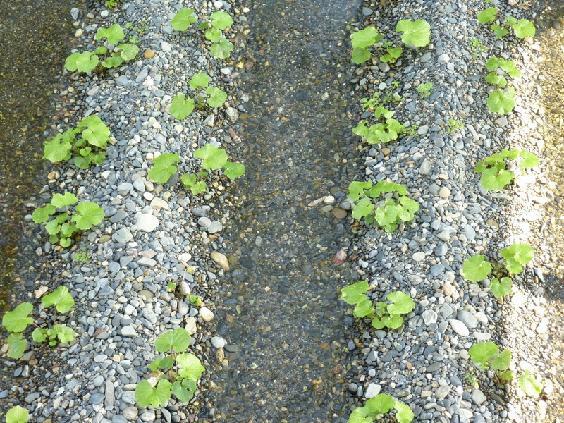 P1070911